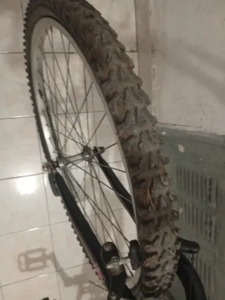 Bicicleta de adulto BH Supra