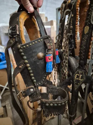 Colleron y cabezada de cuero