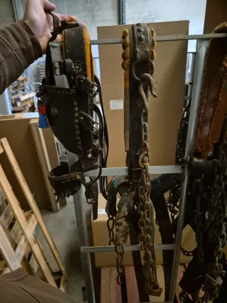 Colleron y cabezada de cuero