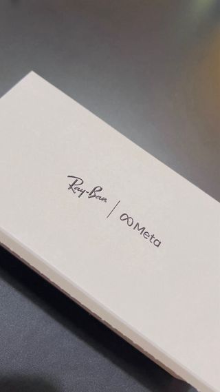 Gafas Ray-Ban Meta Wayfarer L Polar