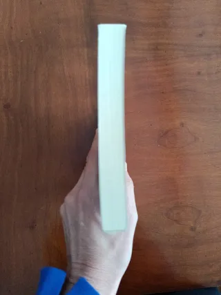 Egia gordina: Gizajo baten egunkaria 5