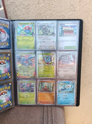 Colección Cartas Pokémon