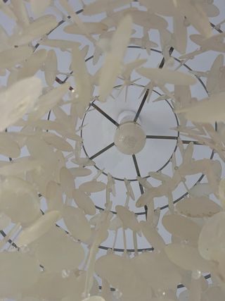 Lámpara de techo Nácar