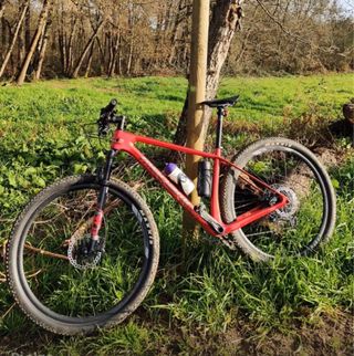 Megamo FACTORY 15 Carbono Talla M