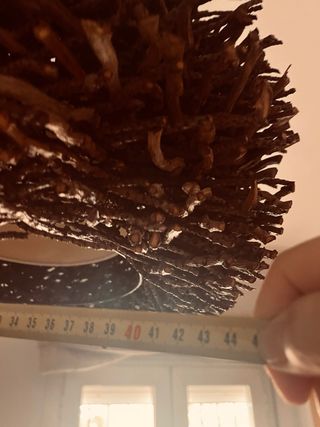 Lámpara Nido Ramas Madera