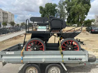 Coche de caballos Maratón para poni welhs