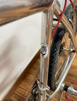 Bicicleta de montaña plateada