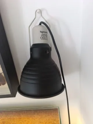 Terrario tropical Bioactivo Plantado de 40x40x70.