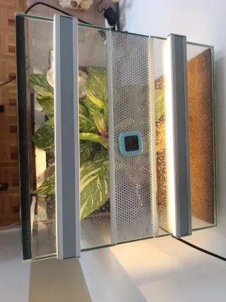 Terrario tropical Bioactivo Plantado de 40x40x70.