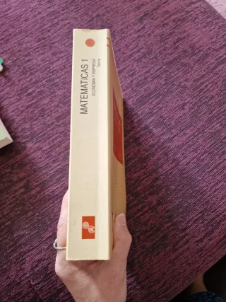 Matematicas, I : Economia y Empresa. Teoria