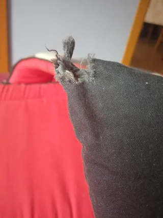 Cojín Monster High Draculaura