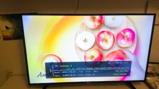 TD Systems Smart TV 50 pulgadas K50DLH8US