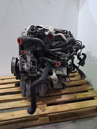CAJA CAMBIOS AUDI A4 AVANT (8K5) (2008)