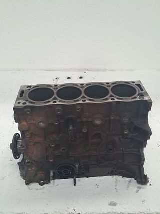 BLOQUE FORD KUGA (CBS)