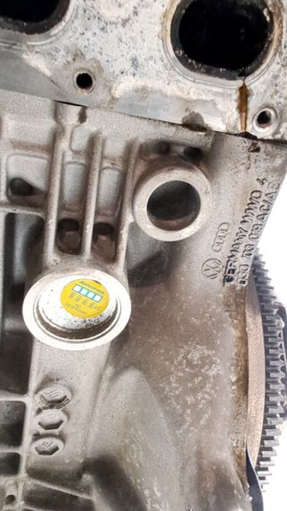 MOTOR COMPLETO SEAT IBIZA (6L1)
