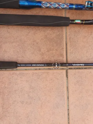 Cañas de pesca con carretes eléctricos