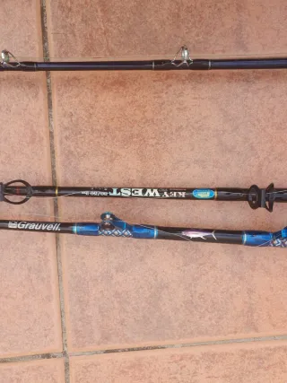 Cañas de pesca con carretes eléctricos