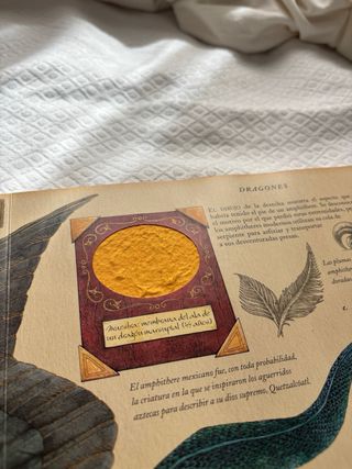 Dragones. El gran libro de los dragones (Spanis...