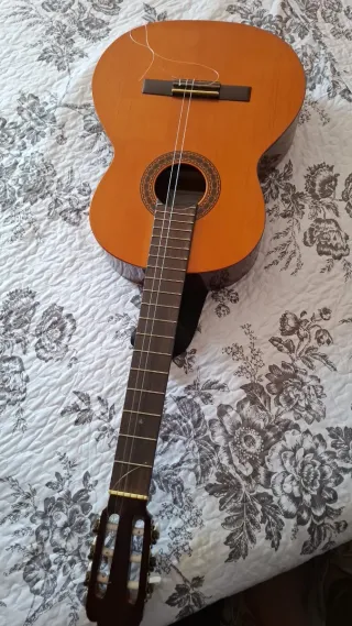 Guitarra Española Clásica 1988