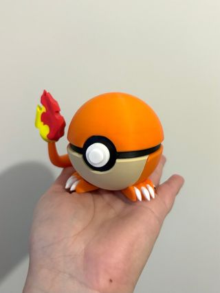Pokeball Charmander Pokemon