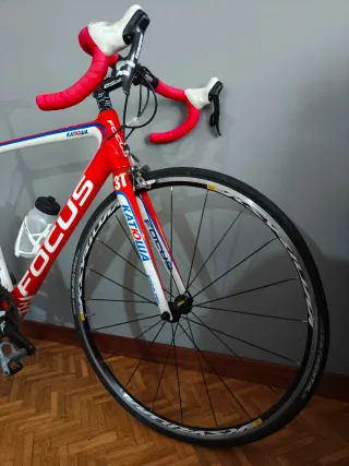 Focus Izalco