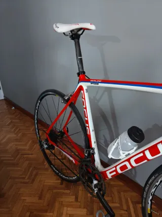 Focus Izalco