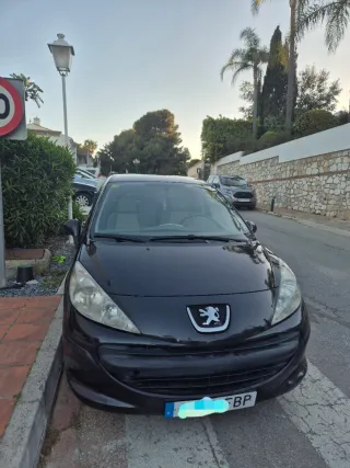 Titular vende Peugeot 207.  Año 2006