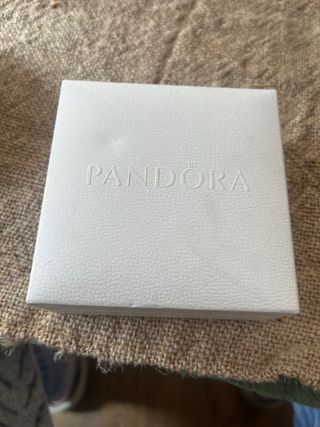 Pulsera Pandora 18cm Plata. + Charms.