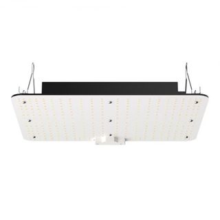 Luz de Cultivo LED, 150W Espectro Completo Regulable, Lámpara de Crecimiento de Diodos Samsung 2B1B para Plantas de Interior, Plántula, Vegetación y Floración en Invernadero, Control en Cadena par...