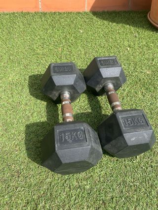 Mancuernas 15 kg (Set de 2)