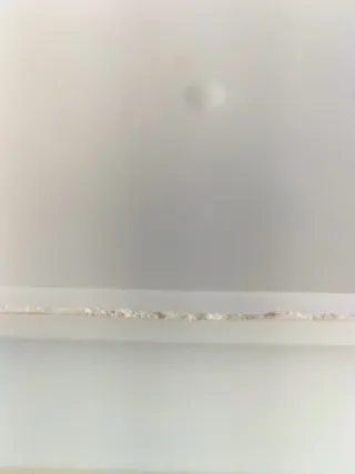 Jaula para conejo/cobaya