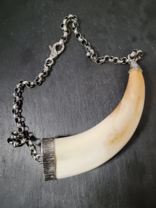 Collar Plata y Diente Orgánico auténtico Beige