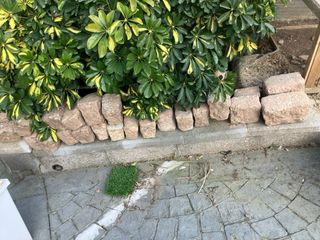 Adoquines de piedra natural