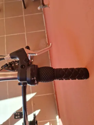 Bicicleta plegable Nordic bike