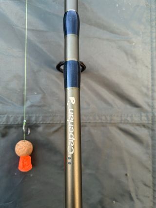 2 Cañas + 2 Carretes + Lote de Cebo