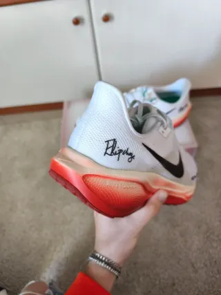 Nike Air Zoom Pegasus 41 EK Scarpe da Corsa