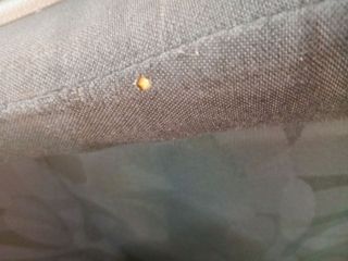 JUEGO ASIENTOS COMPLETO SUZUKI ALTO AMF 310