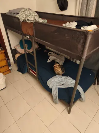 Cama litera ahorra espacio poco a ubultosa