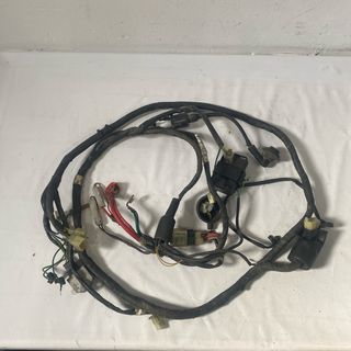 Cableado Honda Sh 50 / 100 Scoopy