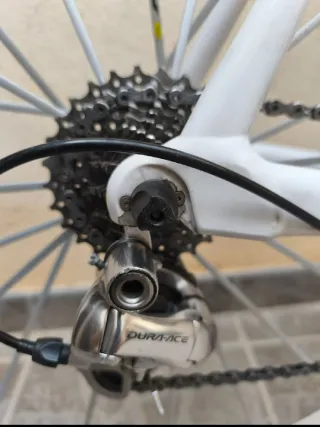 Bicicleta Carretera Rotwild