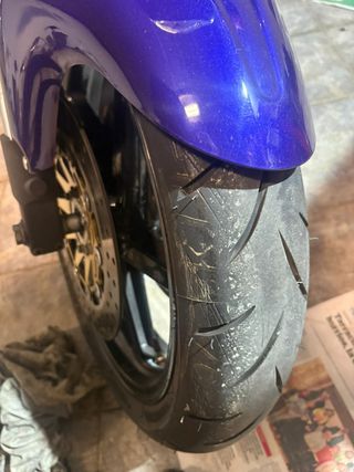 Aprilia RS250 Reggiani Replica | 1 de 500 |