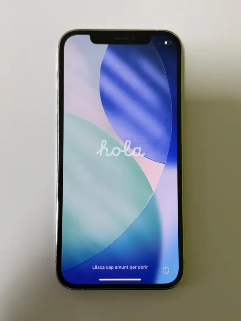 iPhone 12 Pro 256GB Plata afbeelding 2