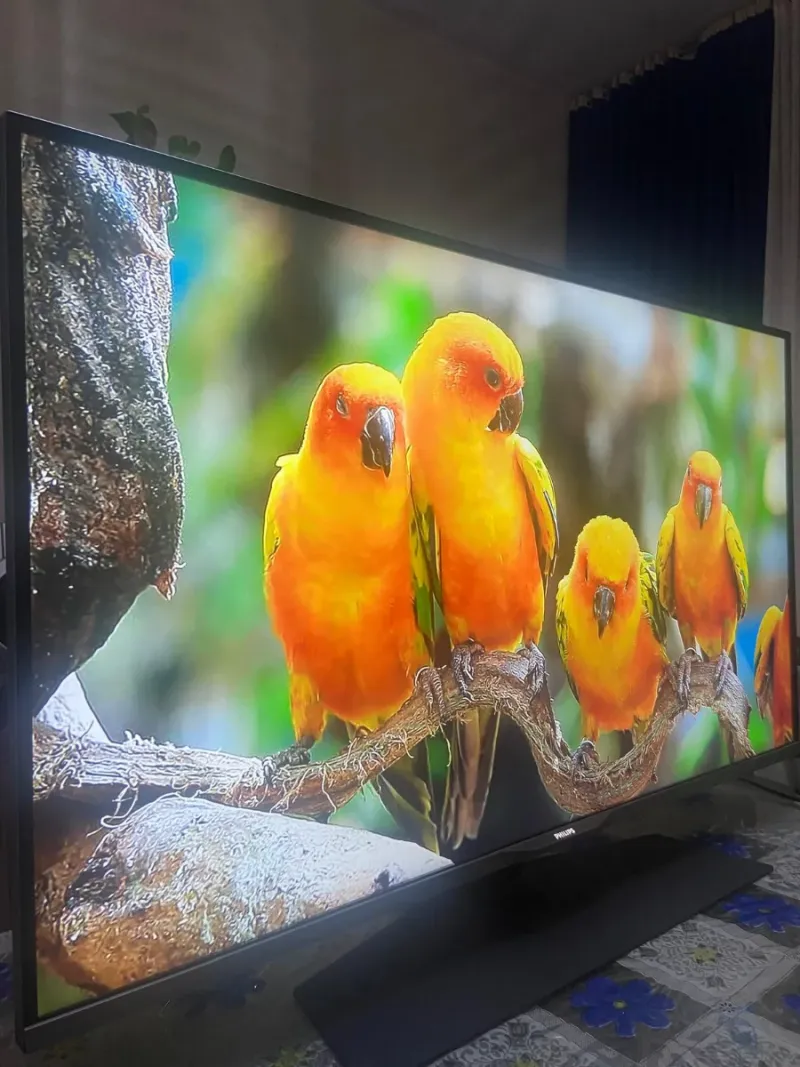 TELEVISOR PHILIPS SMART TV 43 PULGADAS afbeelding 2
