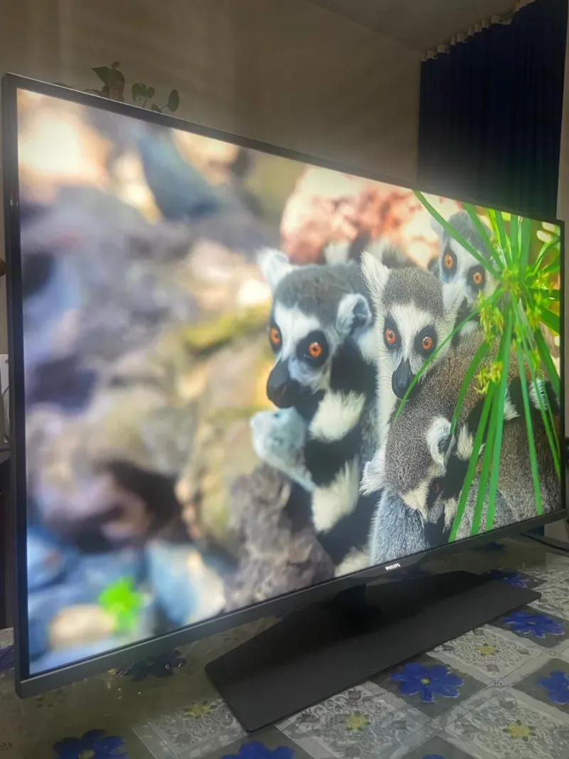 TELEVISOR PHILIPS SMART TV 43 PULGADAS afbeelding 4