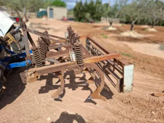 Cultivador de muelles con rodillo