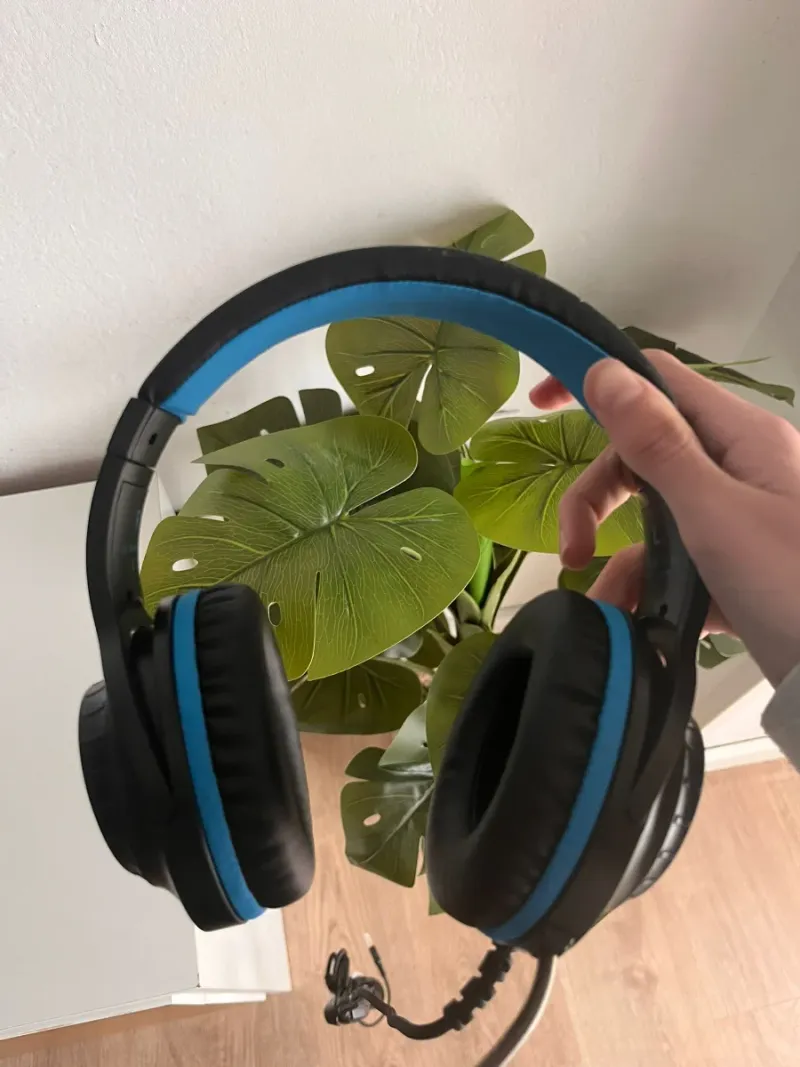 Turtle Beach Recon 50 P