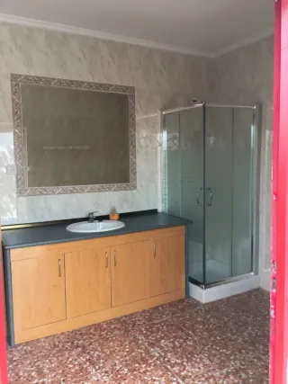 Granja Cerdos Engorde