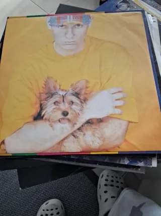 Pet Shop Boys - Introspective Vinilo