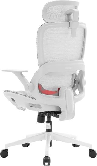 Silla Ergonómica SHIOO B100 Lite Gris/Blanca NUEVA