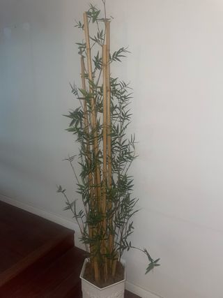 Planta de bambú artificial con maceta aktura 2 met